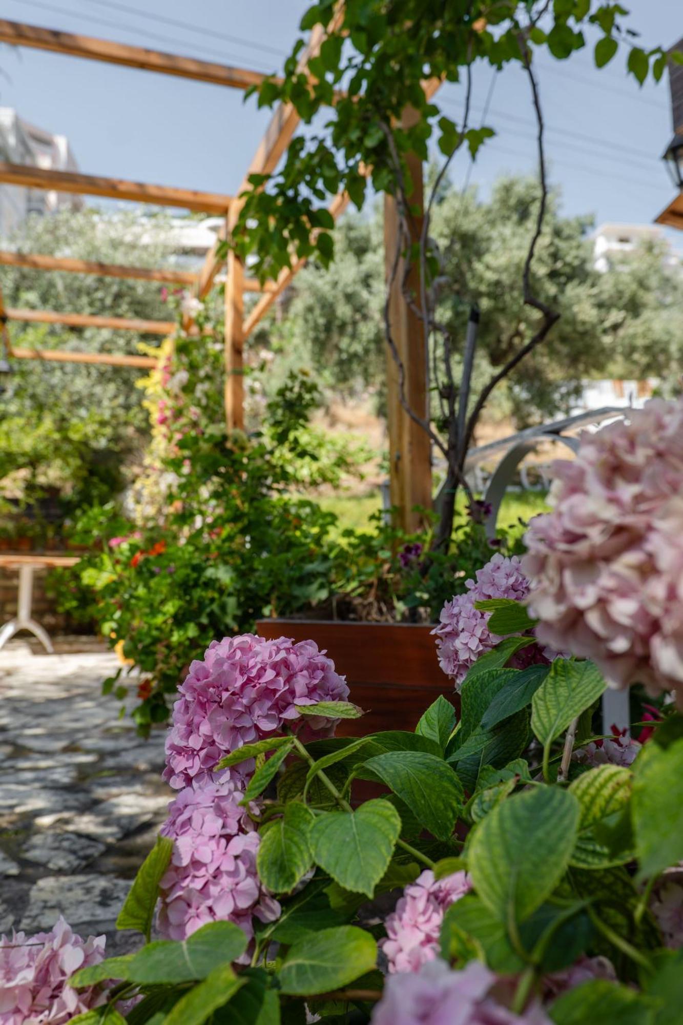 Villa Green Garden Sarande Exterior photo